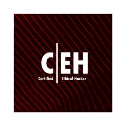 Certified Ethical Hacker (CEH v13)